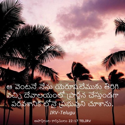 Picture 03 - అపొస్తలుల కార్యములు 22:17 TELIRV - ఆ వెంటనే నేను - Bible Verse Picture