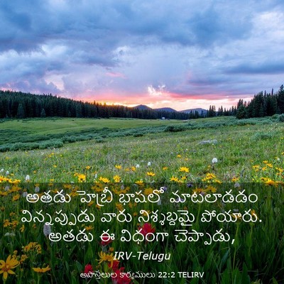 Picture 03 - అపొస్తలుల కార్యములు 22:2 TELIRV - అతడు హెబ్రీ భాషలో - Bible Verse Picture