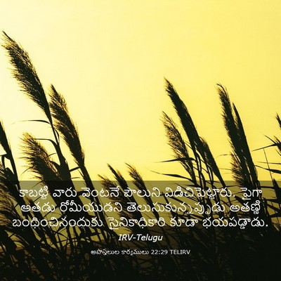 Picture 03 - అపొస్తలుల కార్యములు 22:29 TELIRV - కాబట్టి వారు - Bible Verse Picture