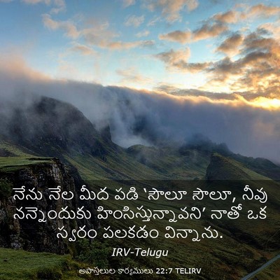 Picture 03 - అపొస్తలుల కార్యములు 22:7 TELIRV - నేను నేల మీద పడి - Bible Verse Picture