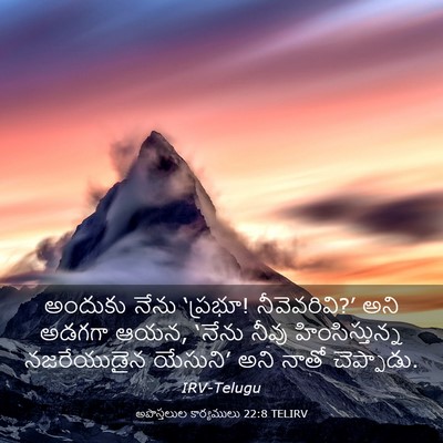 Picture 03 - అపొస్తలుల కార్యములు 22:8 TELIRV - అందుకు నేను - Bible Verse Picture