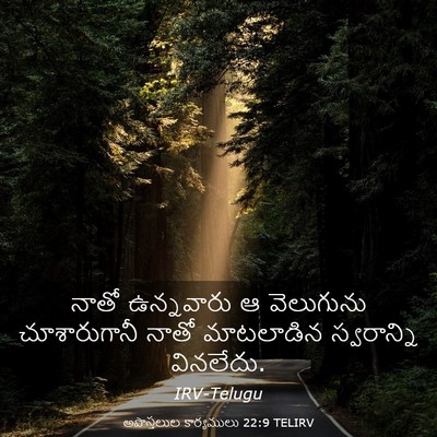 Picture 03 - అపొస్తలుల కార్యములు 22:9 TELIRV - నాతో ఉన్నవారు ఆ - Bible Verse Picture