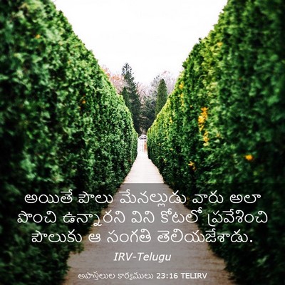 Picture 03 - అపొస్తలుల కార్యములు 23:16 TELIRV - అయితే పౌలు - Bible Verse Picture