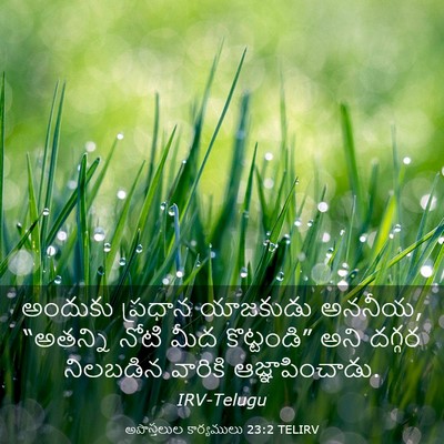 Picture 03 - అపొస్తలుల కార్యములు 23:2 TELIRV - అందుకు ప్రధాన - Bible Verse Picture