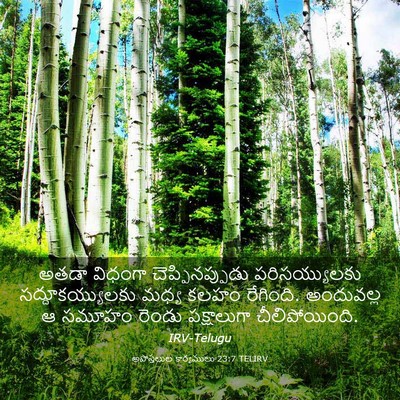 Picture 03 - అపొస్తలుల కార్యములు 23:7 TELIRV - అతడా విధంగా - Bible Verse Picture
