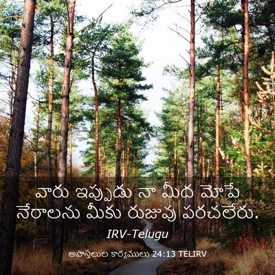 Picture 03 - అపొస్తలుల కార్యములు 24:13 TELIRV - వారు ఇప్పుడు నా - Bible Verse Picture