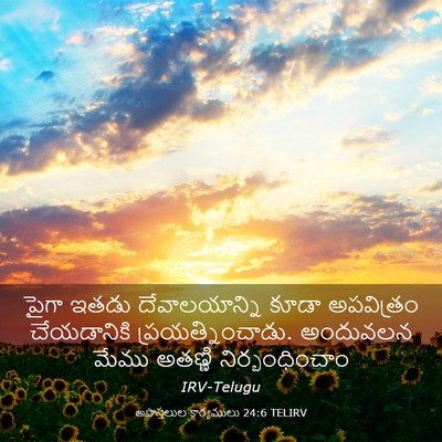 Picture 03 - అపొస్తలుల కార్యములు 24:6 TELIRV - పైగా ఇతడు - Bible Verse Picture