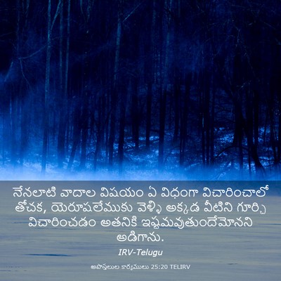 Picture 03 - అపొస్తలుల కార్యములు 25:20 TELIRV - నేనలాటి వాదాల - Bible Verse Picture