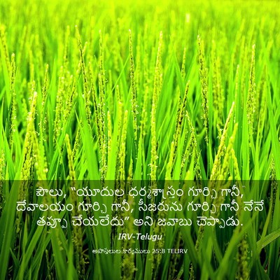 Picture 03 - అపొస్తలుల కార్యములు 25:8 TELIRV - పౌలు, “యూదుల - Bible Verse Picture