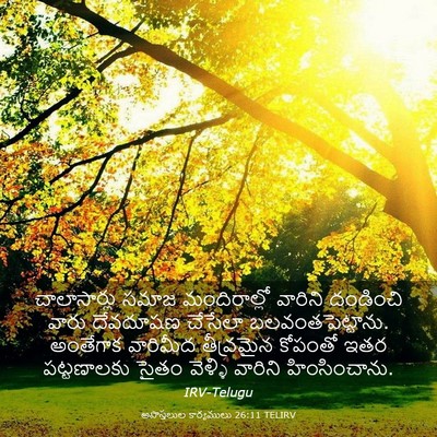 Picture 03 - అపొస్తలుల కార్యములు 26:11 TELIRV - చాలాసార్లు సమాజ - Bible Verse Picture