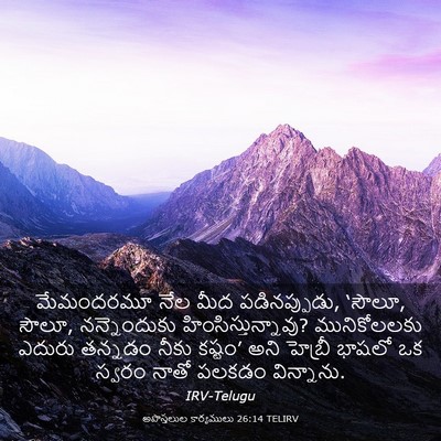 Picture 03 - అపొస్తలుల కార్యములు 26:14 TELIRV - మేమందరమూ నేల మీద - Bible Verse Picture
