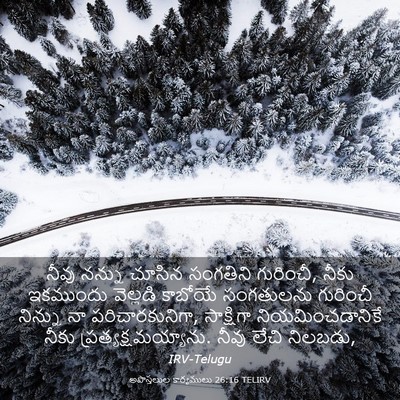 Picture 03 - అపొస్తలుల కార్యములు 26:16 TELIRV - నీవు నన్ను చూసిన - Bible Verse Picture