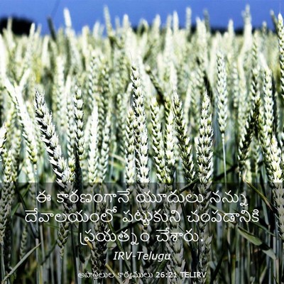 Picture 03 - అపొస్తలుల కార్యములు 26:21 TELIRV - ఈ కారణంగానే - Bible Verse Picture