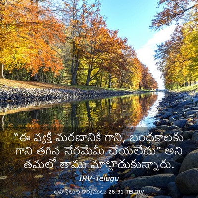 Picture 03 - అపొస్తలుల కార్యములు 26:31 TELIRV - “ఈ వ్యక్తి - Bible Verse Picture
