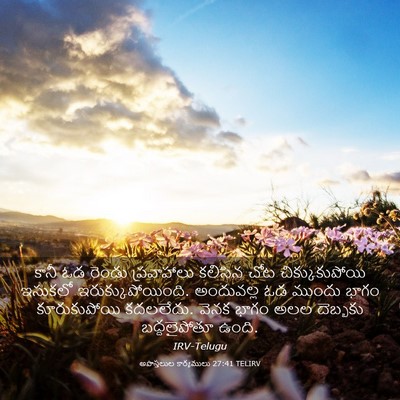 Picture 03 - అపొస్తలుల కార్యములు 27:41 TELIRV - కానీ ఓడ రెండు - Bible Verse Picture