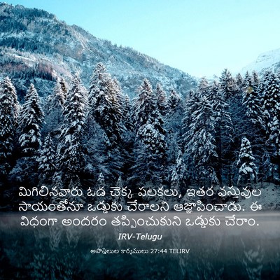 Picture 03 - అపొస్తలుల కార్యములు 27:44 TELIRV - మిగిలినవారు ఓడ - Bible Verse Picture