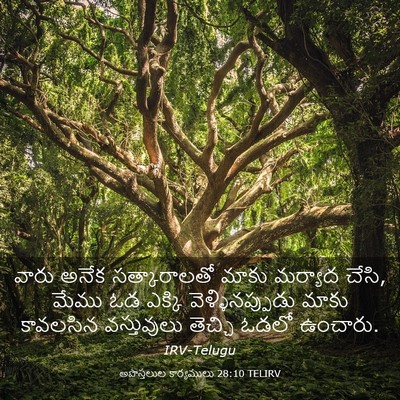 Picture 03 - అపొస్తలుల కార్యములు 28:10 TELIRV - వారు అనేక - Bible Verse Picture