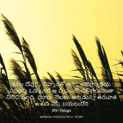Picture 03 - అపొస్తలుల కార్యములు 28:11 TELIRV - కవల దేవుళ్ళ - Bible Verse Picture