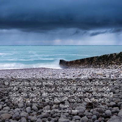 Picture 03 - అపొస్తలుల కార్యములు 28:4 TELIRV - ఆ ప్రజలు ఆ పాము - Bible Verse Picture