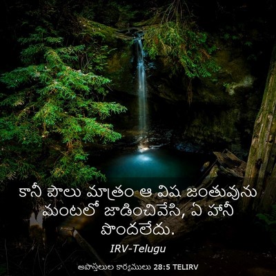 Picture 03 - అపొస్తలుల కార్యములు 28:5 TELIRV - కానీ పౌలు మాత్రం ఆ - Bible Verse Picture
