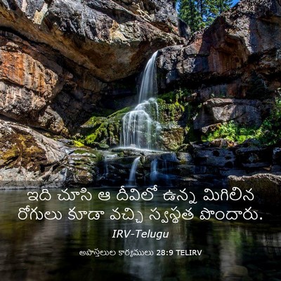 Picture 03 - అపొస్తలుల కార్యములు 28:9 TELIRV - ఇది చూసి ఆ దీవిలో - Bible Verse Picture