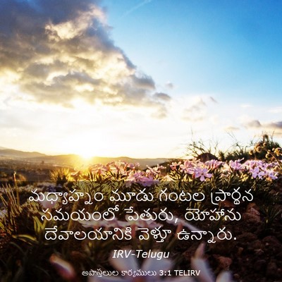 Picture 03 - అపొస్తలుల కార్యములు 3:1 TELIRV - మధ్యాహ్నం మూడు - Bible Verse Picture