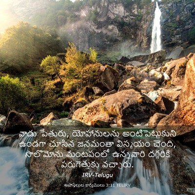 Picture 03 - అపొస్తలుల కార్యములు 3:11 TELIRV - వాడు పేతురు, - Bible Verse Picture