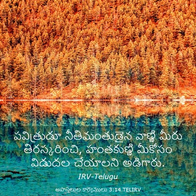 Picture 03 - అపొస్తలుల కార్యములు 3:14 TELIRV - పవిత్రుడూ - Bible Verse Picture