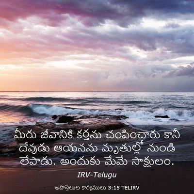 Picture 03 - అపొస్తలుల కార్యములు 3:15 TELIRV - మీరు జీవానికి - Bible Verse Picture