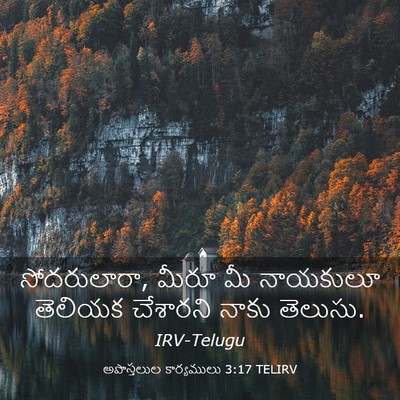 Picture 03 - అపొస్తలుల కార్యములు 3:17 TELIRV - సోదరులారా, మీరూ మీ - Bible Verse Picture