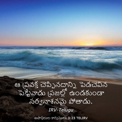 Picture 03 - అపొస్తలుల కార్యములు 3:23 TELIRV - ఆ ప్రవక్త - Bible Verse Picture