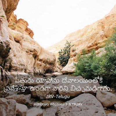 Picture 03 - అపొస్తలుల కార్యములు 3:3 TELIRV - పేతురు యోహాను - Bible Verse Picture
