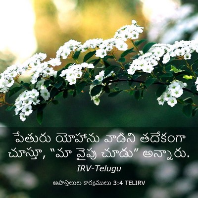Picture 03 - అపొస్తలుల కార్యములు 3:4 TELIRV - పేతురు యోహాను - Bible Verse Picture