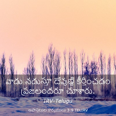Picture 03 - అపొస్తలుల కార్యములు 3:9 TELIRV - వాడు నడుస్తూ - Bible Verse Picture