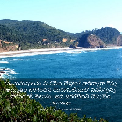 Picture 03 - అపొస్తలుల కార్యములు 4:16 TELIRV - ‘ఈ మనుషులను మనమేం - Bible Verse Picture