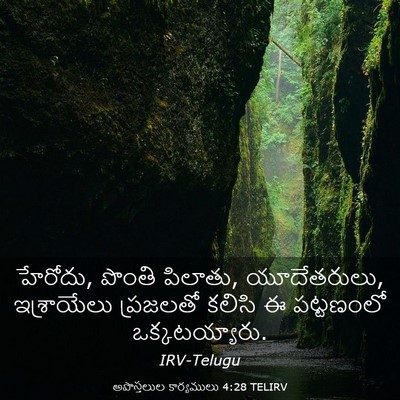 Picture 03 - అపొస్తలుల కార్యములు 4:28 TELIRV - హేరోదు, పొంతి - Bible Verse Picture