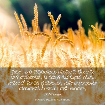 Picture 03 - అపొస్తలుల కార్యములు 4:29 TELIRV - ప్రభూ, వారి - Bible Verse Picture