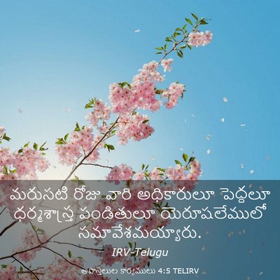 Picture 03 - అపొస్తలుల కార్యములు 4:5 TELIRV - మరుసటి రోజు వారి - Bible Verse Picture