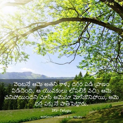 Picture 03 - అపొస్తలుల కార్యములు 5:10 TELIRV - వెంటనే ఆమె అతని - Bible Verse Picture