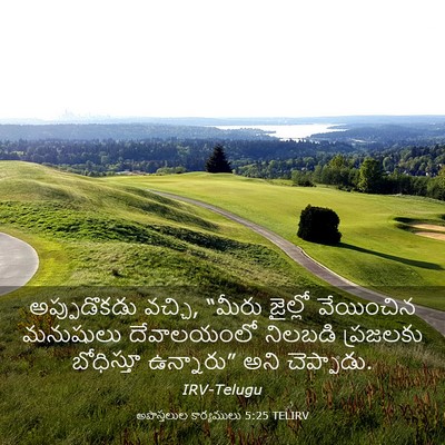 Picture 03 - అపొస్తలుల కార్యములు 5:25 TELIRV - అప్పుడొకడు వచ్చి, - Bible Verse Picture