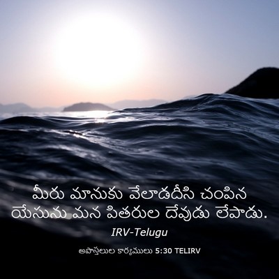 Picture 03 - అపొస్తలుల కార్యములు 5:30 TELIRV - మీరు మానుకు - Bible Verse Picture