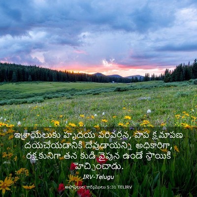 Picture 03 - అపొస్తలుల కార్యములు 5:31 TELIRV - ఇశ్రాయేలుకు హృదయ - Bible Verse Picture