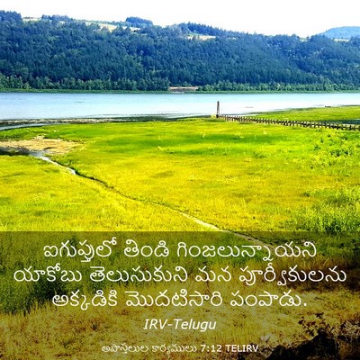 Picture 03 - అపొస్తలుల కార్యములు 7:12 TELIRV - ఐగుప్తులో తిండి - Bible Verse Picture