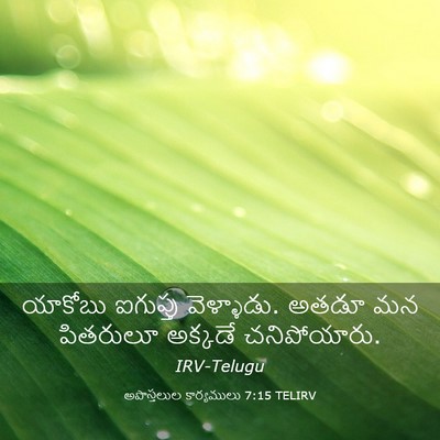 Picture 03 - అపొస్తలుల కార్యములు 7:15 TELIRV - యాకోబు ఐగుప్తు - Bible Verse Picture