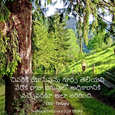 Picture 03 - అపొస్తలుల కార్యములు 7:18 TELIRV - చివరికి యోసేపును - Bible Verse Picture