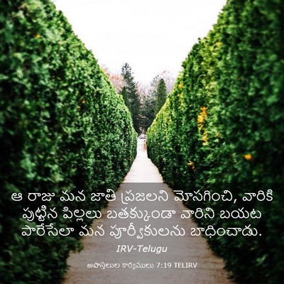 Picture 03 - అపొస్తలుల కార్యములు 7:19 TELIRV - ఆ రాజు మన జాతి - Bible Verse Picture