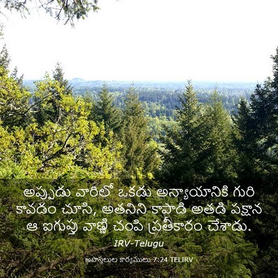 Picture 03 - అపొస్తలుల కార్యములు 7:24 TELIRV - అప్పుడు వారిలో - Bible Verse Picture