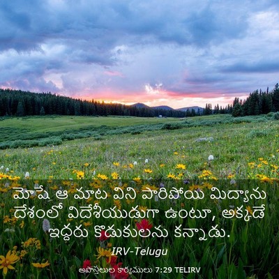 Picture 03 - అపొస్తలుల కార్యములు 7:29 TELIRV - మోషే ఆ మాట విని - Bible Verse Picture