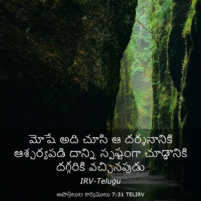 Picture 03 - అపొస్తలుల కార్యములు 7:31 TELIRV - మోషే అది చూసి ఆ - Bible Verse Picture