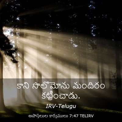 Picture 03 - అపొస్తలుల కార్యములు 7:47 TELIRV - కాని సొలొమోను - Bible Verse Picture
